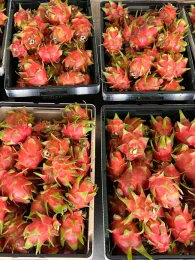 Four containers filled with pitahaya/dragon fruits.