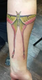 This is a close-up of Karissa Merritt's tattoo of a Chinese moon moth or Chinese luna moth, Actias dubernari. Merritt, a UC Davis entomology alumna and artist, won a tattoo contest at the Bohart Museum in 2018. (Photo by Kathy Keatley Garvey)