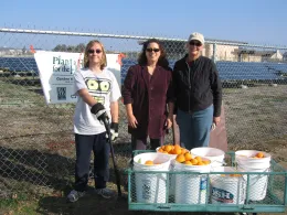 30 year MG Nancy Mack