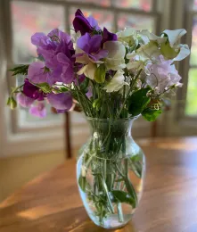 A bouquet of fragrant sweet peas in various shades of purple, white, and ivory, arranged in a clear glass vase on a wooden table, with a blurred window in the background.