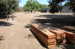 Looking east on Aug. 6, 2009, the sie of the UC Davis Bee Haven looked like this. An almond tree is in the background. Later a sculpture of a bee was added there. (Photo by Kathy Keatley Garvey)