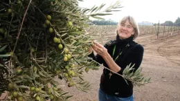 Louise Ferguson. Photo by John Stumbos