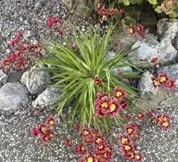 photos by Michelle Krespi