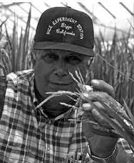 Potrait of Carl showcasing a rice plant