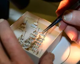 The hands of Jerry Powell sorting insects at the Feb. 9, 2019 meeting of the Lepidopterists' Society at the Bohart Museum of Entomology. (Photo by Kathy Keatley Garvey)
