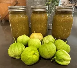 Tomatillo Salsa
