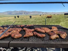 PXL_20230713_191636948 - low res bbq