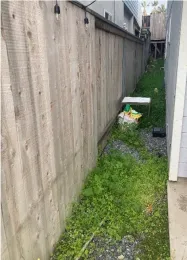 Green weeds growing in rocks along a wood fence about two feet from the side of a home.