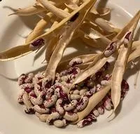 UC Master Gardeners, Santa Clara County