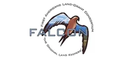 Brown and Blue Falcon flying through the name