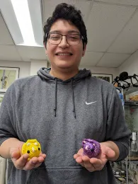 Bohart Museum of Entomology intern and UC Davis student Jakob Lopez with two of the triceratops he crafted.