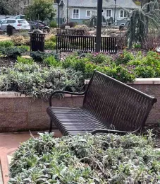 There are a number of secluded areas for those desiring a quiet space to sit in the Enloe Hospital garden. J.C. Lawrence