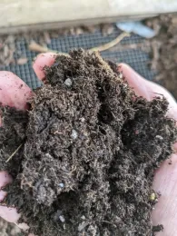 Handful of starting mix Tim Long