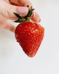 Hort Terms - Photos - Carmichael02