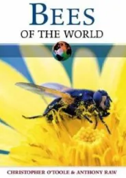 A fly on on the cover of
