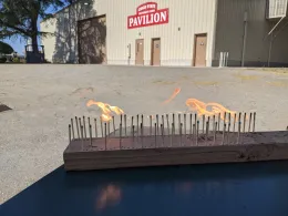 PXL_20210415_230949136.MP (2)