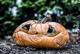 Image of a carved pumpkin which is rotting and squishy.