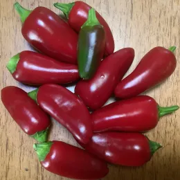 Peppers