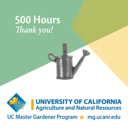 500 Hours watering can pin