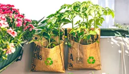 Grow Bags offer mobility and ease of use- Courtesy Shutterstock