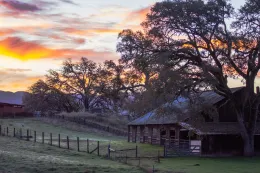 Vassar Barn in morning light