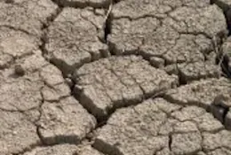 Deep cracks in dry soil from drought