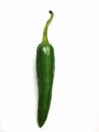 Chile Pepper