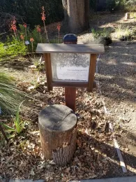 Winters Library Teaching Garden