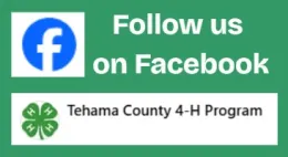 4-H Facebook Link