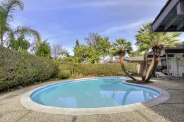 Photo of original heavy pruned bottle brush.