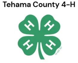 tc 4-H