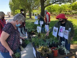 WCC Plant Sale