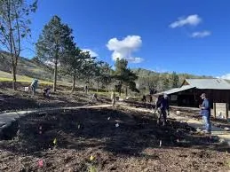 Putah Creek Native Garden
