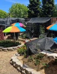 Shade cloth used in the garden