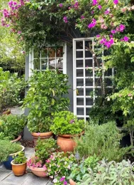 Beautiful garden in a small space