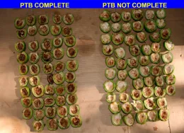 walnuts on left have dark brown centers, on right are more white