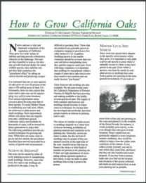 How to Grow California Oaks