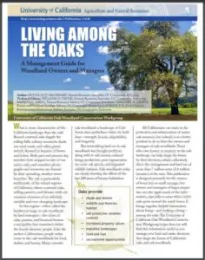 Living Among the Oaks