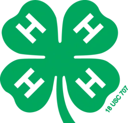 4-H Logo