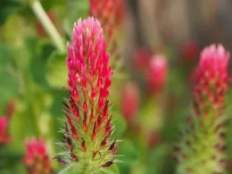 Photo by Brian Hicks