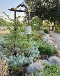 heat tolerant garden