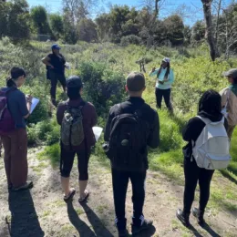 A group of naturalists learning