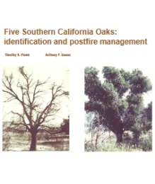 Five Ca Oaks: identification and postfire management