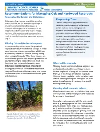 Recommendations for Managing Oak and Hardwood Resprouts