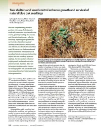 Tree shelters and weed control enhance growth and survival of natural blue oak seedlings