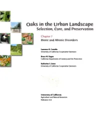 Urban oak care