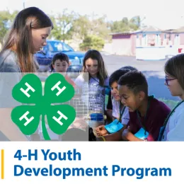 Central Sierra 4-H thumbnail of children participating in program activities.