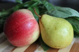 still life of a blushing red apple and a green pear