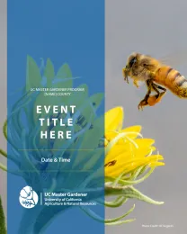 Event promotion graphic with bee and sunflower