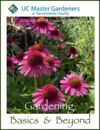 2026 gardening guide and calendar